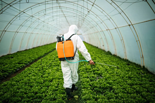 Pest Control for Restaurants in West Little River, FL